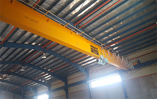 Pr-Shokoh-crane
